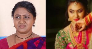 bhagyalakshmi_serial_selvi_character_nzz